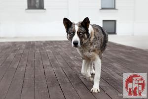 list-gallery