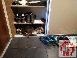 list-gallery