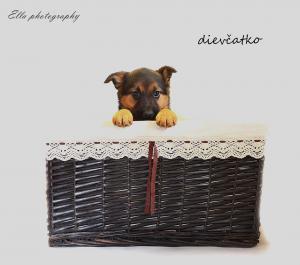 list-gallery