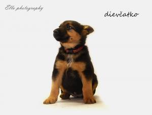 list-gallery